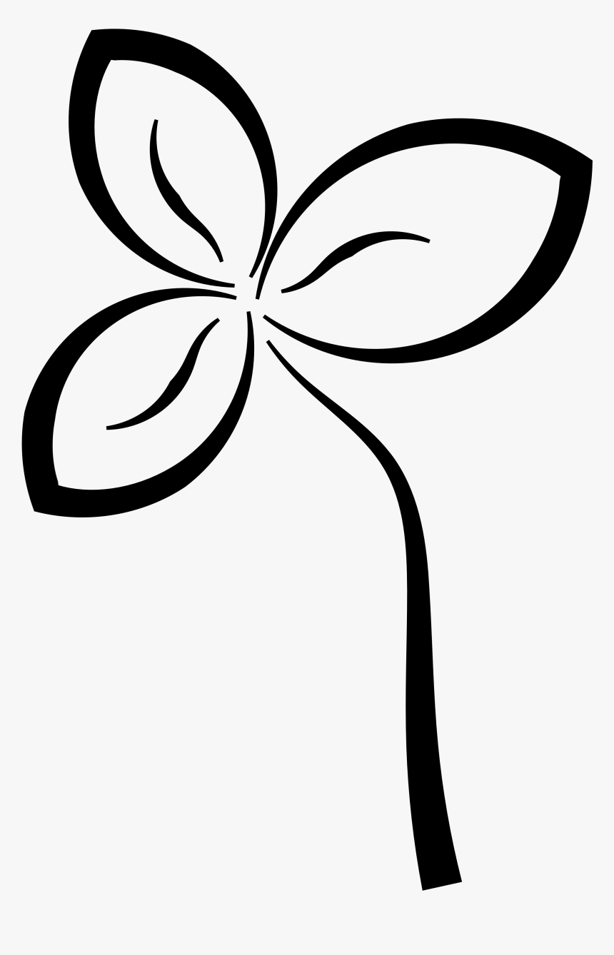 Abstract Flower Black White Line Art Coloring Book - Clip Art, HD Png Download, Free Download