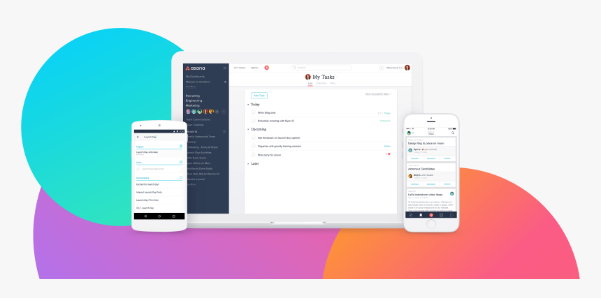 Asana Redesign, HD Png Download, Free Download