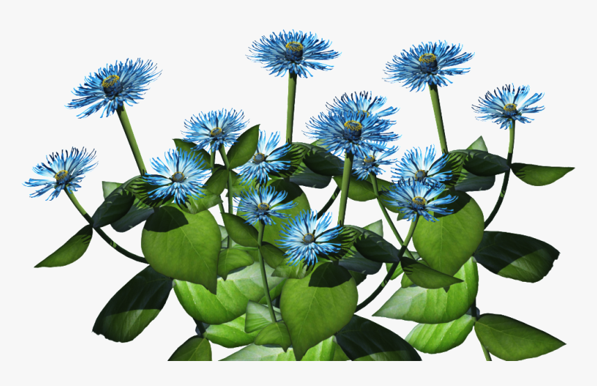 Blue Plant Png - Tropical Shrub With Blue Flowers, Transparent Png, Free Download