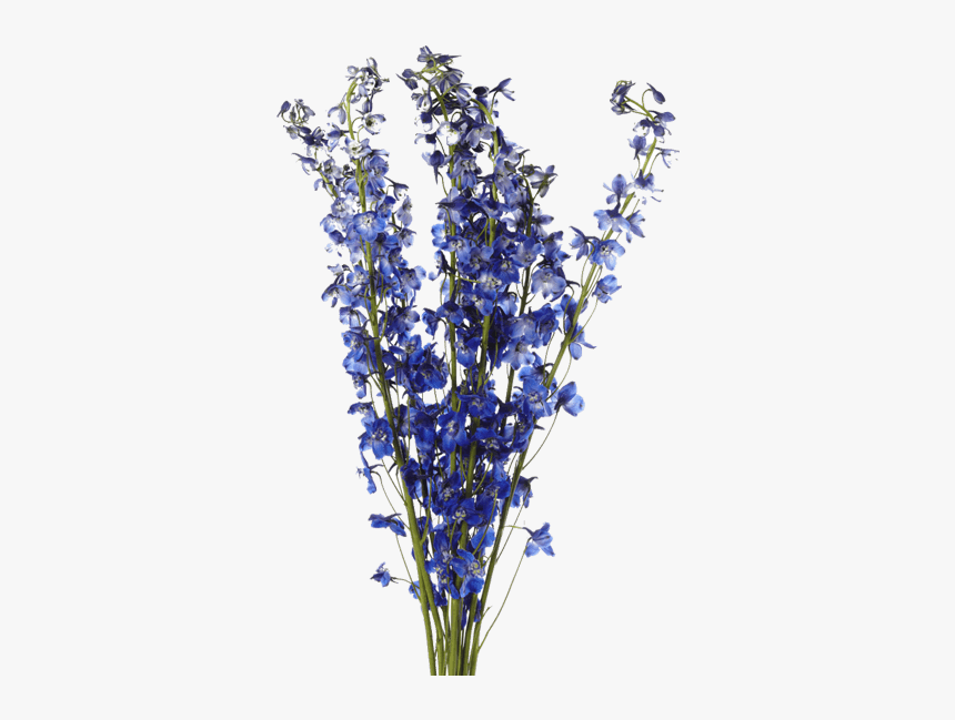 Dark Blue Flower Png, Transparent Png, Free Download