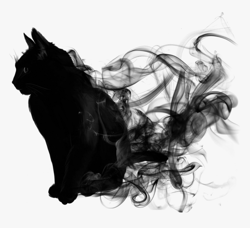 Cat Black Smoke Blacksmoke Animal Blackandwhite - After Dark Stickers In Picsart, HD Png Download, Free Download