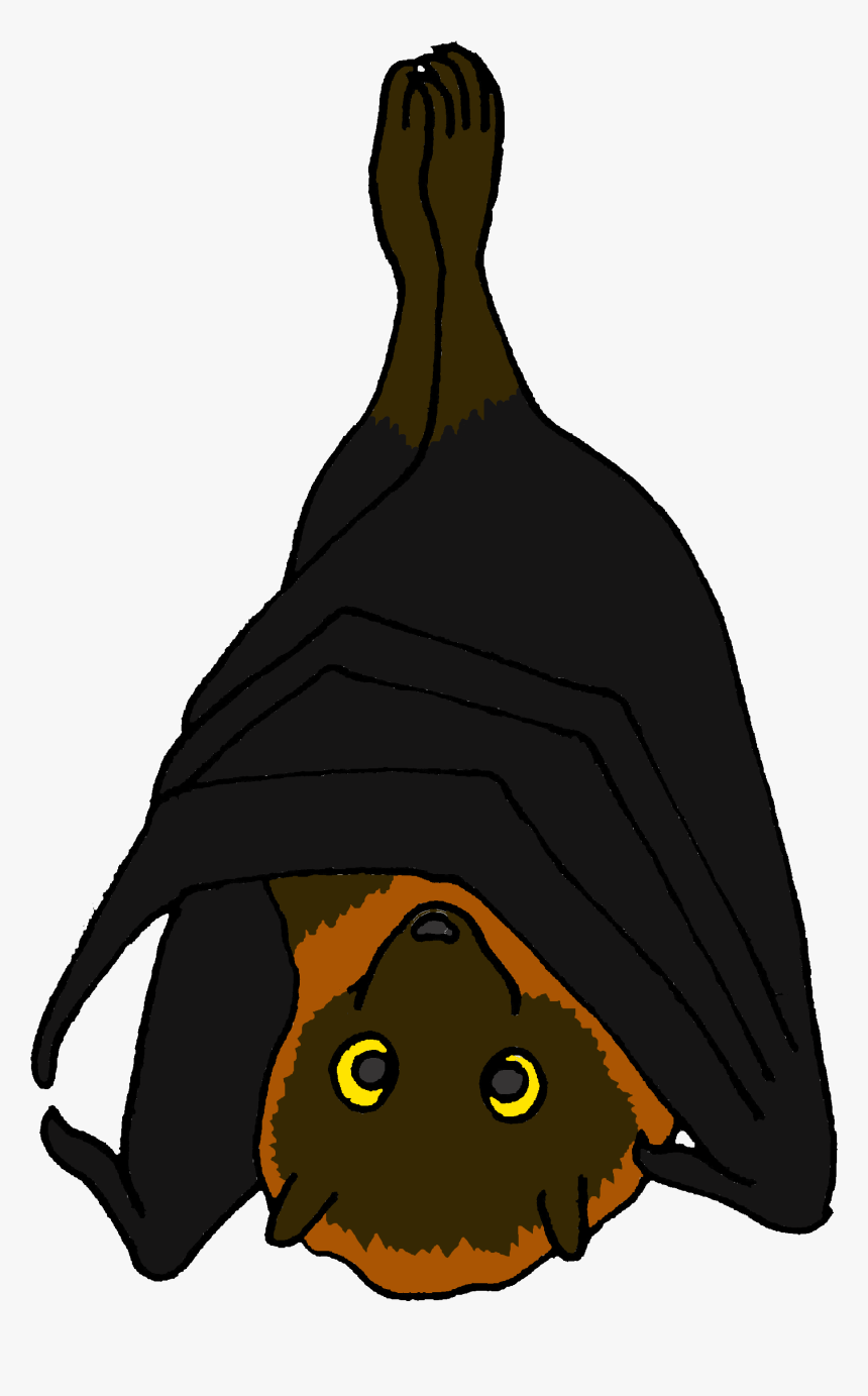 Transparent Fruit Bat Clipart - Cartoon Picture Of A Fruit Bat, HD Png Download, Free Download