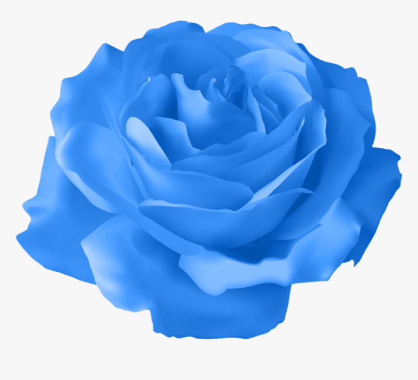 Blue Rose Png - Purple Rose Flower Transparent, Png Download, Free Download