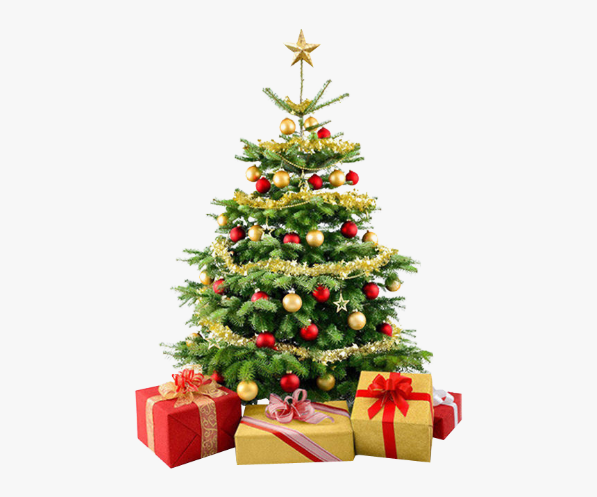 Christmas Tree And Presents No Background - Christmas Tree No Background, HD Png Download, Free Download