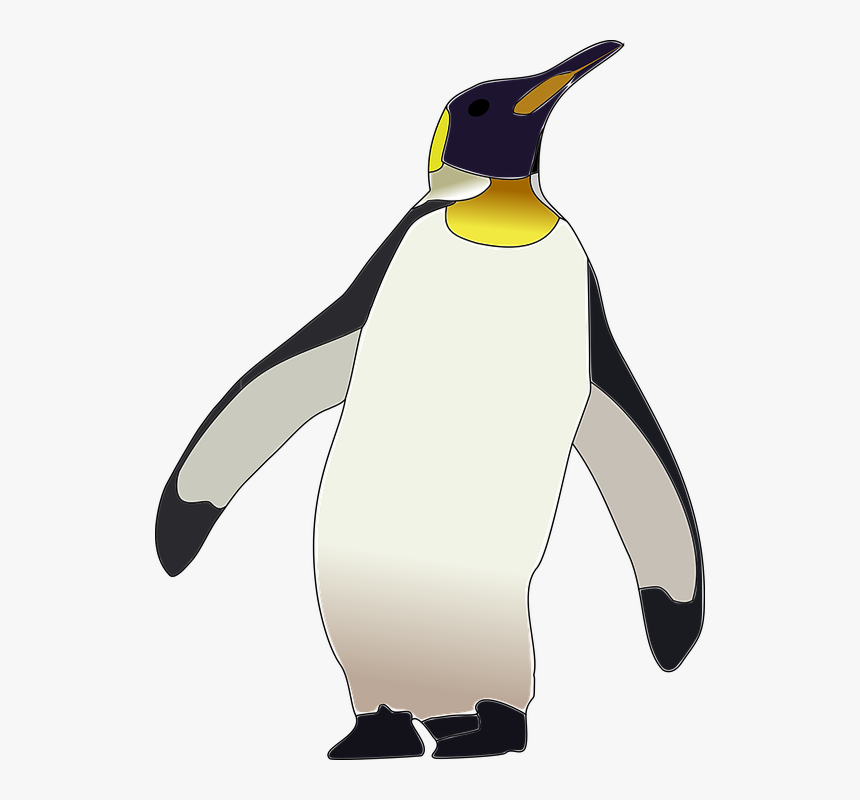 Pinguim Imperador, Pinguim, Pássaro, Selvagem, Animal - Emperor Penguin Vector Png, Transparent Png, Free Download