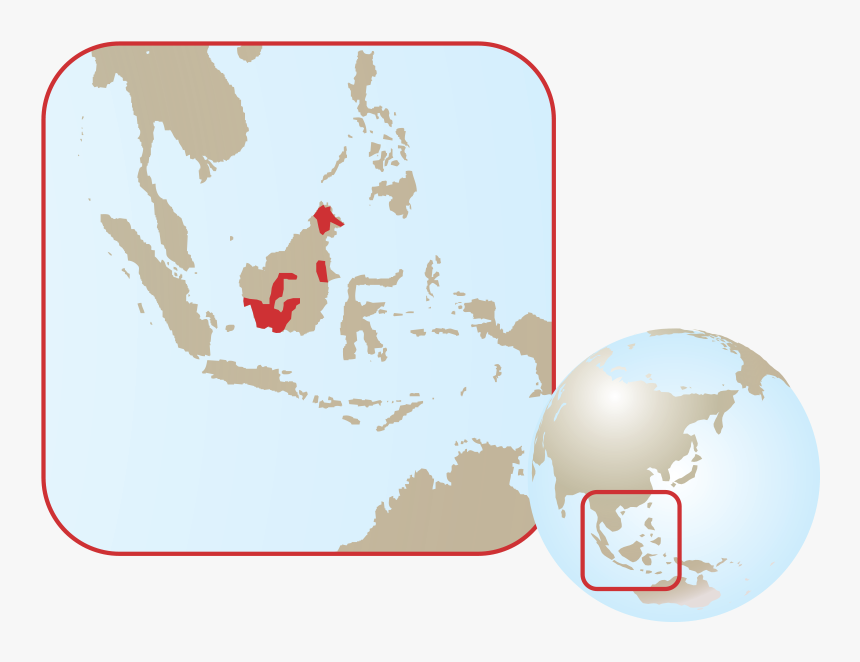 Transparent Orangutan Png - Philippines In World Map Black And White, Png Download, Free Download