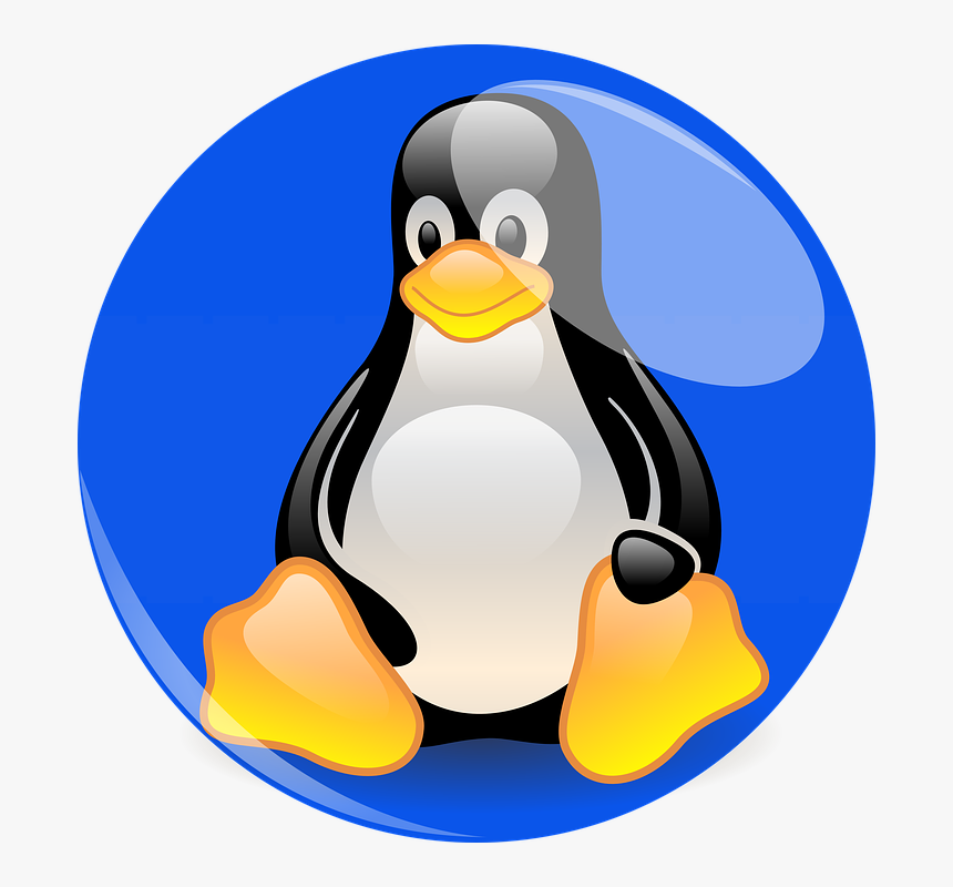 Penguin, Linux, Mascot, Blue, Cartoon Character, Figure - Pinguim Linux Mascote, HD Png Download, Free Download