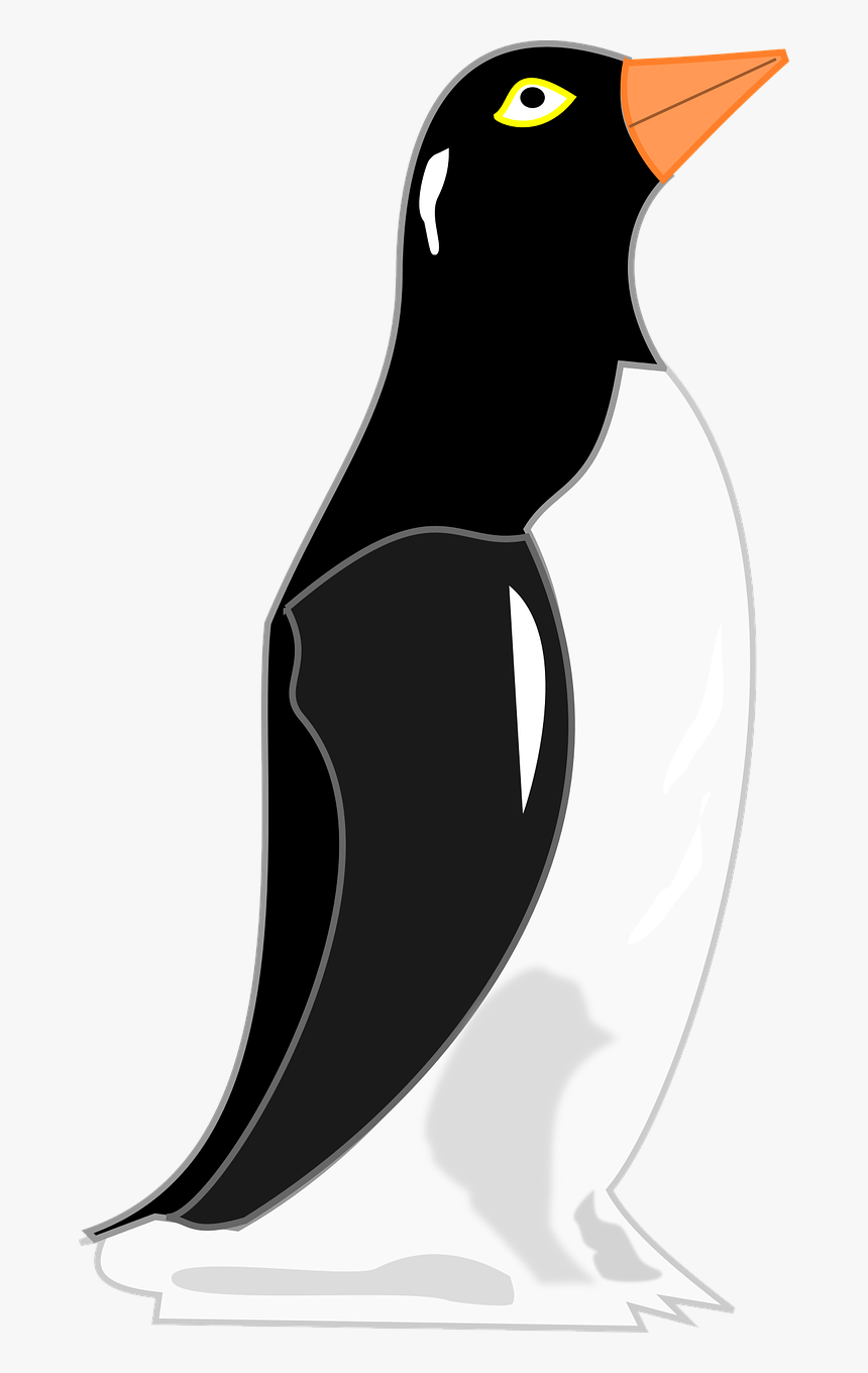 Cartoon Penguin Looking Right, HD Png Download, Free Download