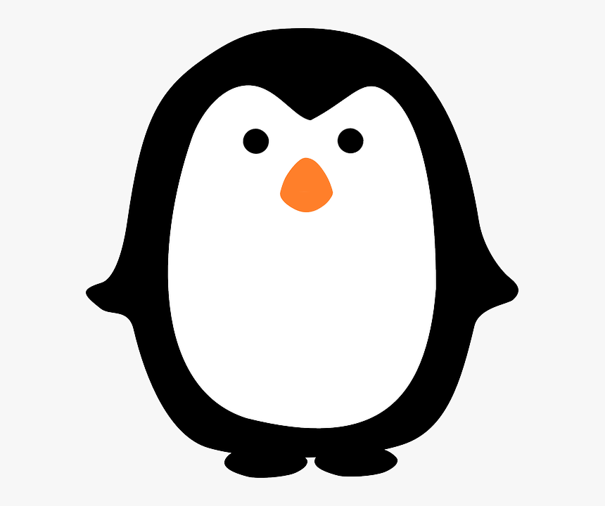 Penguin Clip Art, HD Png Download, Free Download
