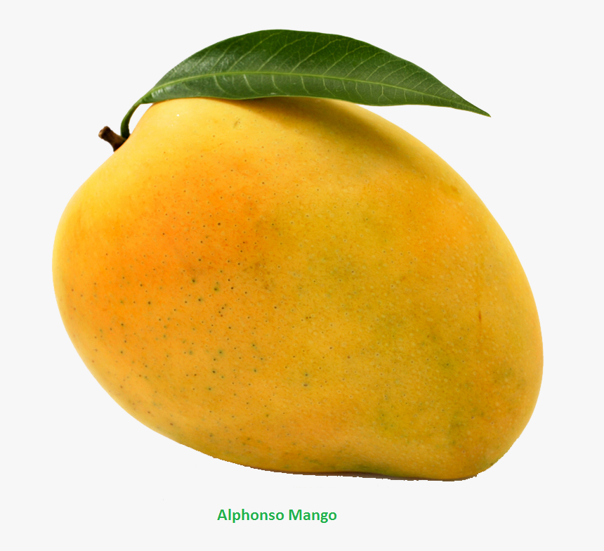 Download Mango Png - Mango Png, Transparent Png, Free Download