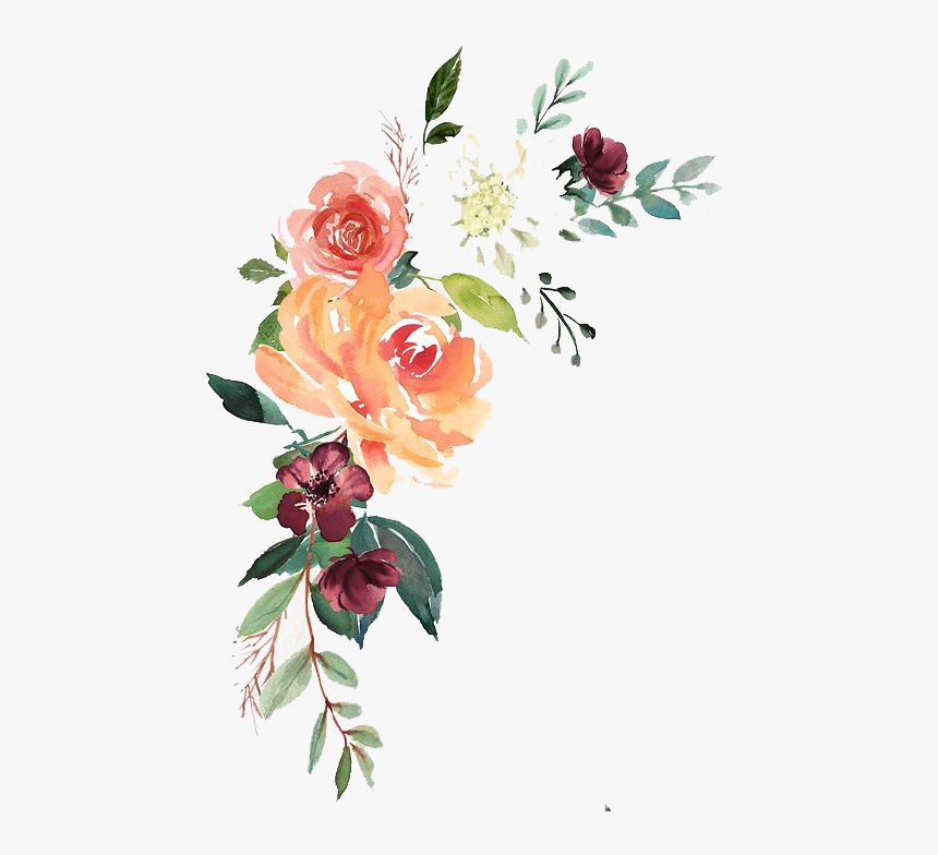 Watercolor Composition Download Vector, HD Png Download, Free Download