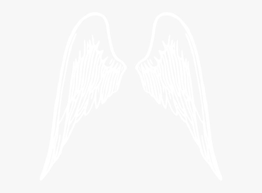 White Wings Png, Transparent Png, Free Download