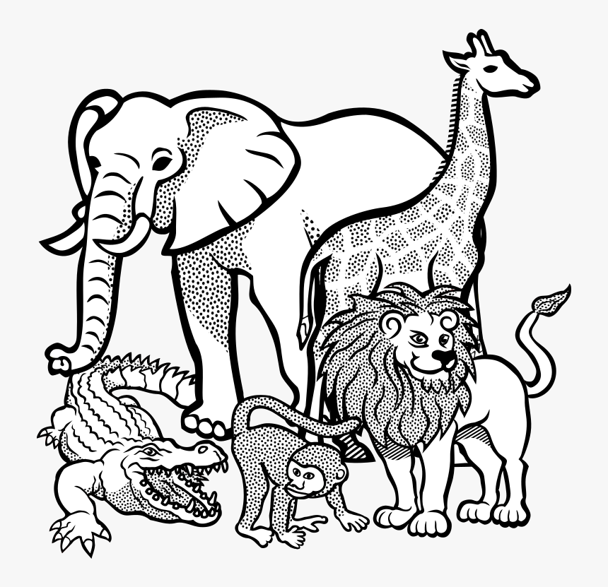 African Animals - Lineart, HD Png Download, Free Download