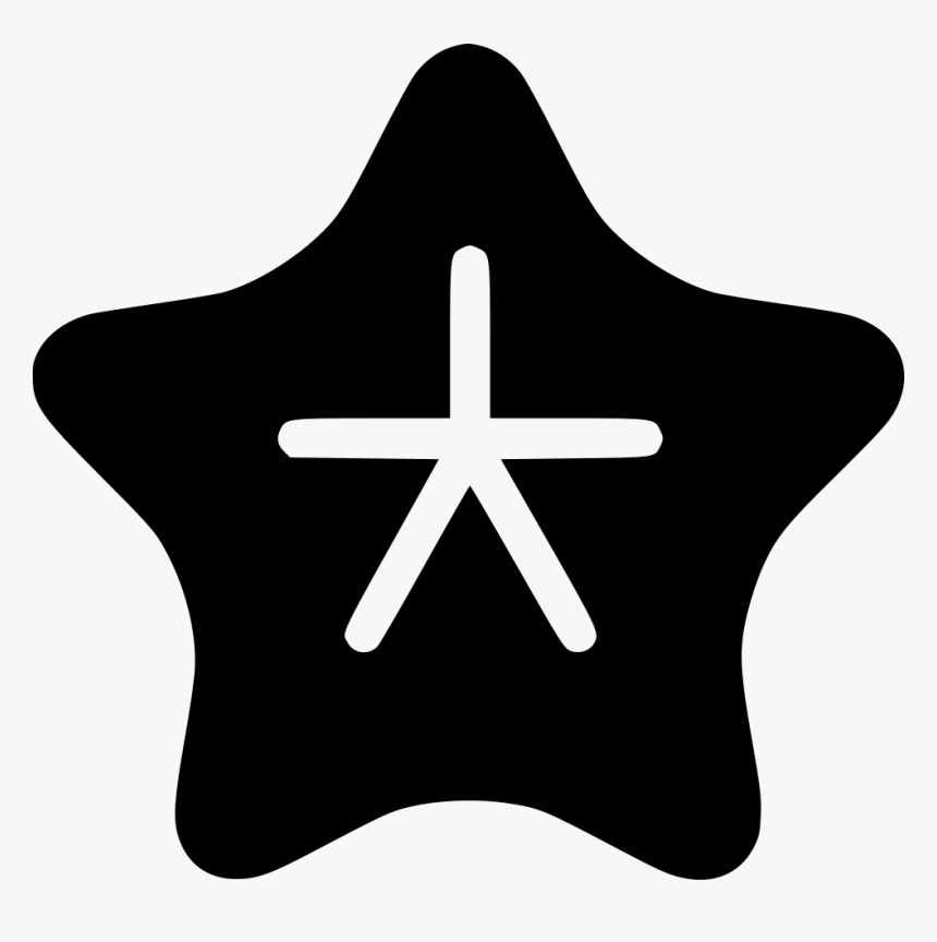 Star Fish, HD Png Download, Free Download