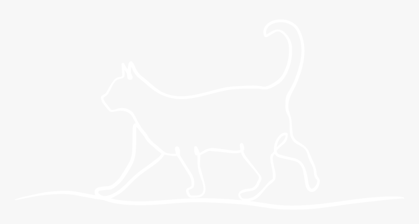 Cat Icon Png, Transparent Png, Free Download