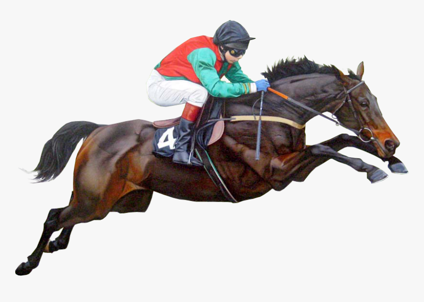 Racehorse Jumping Transparent Image, HD Png Download, Free Download