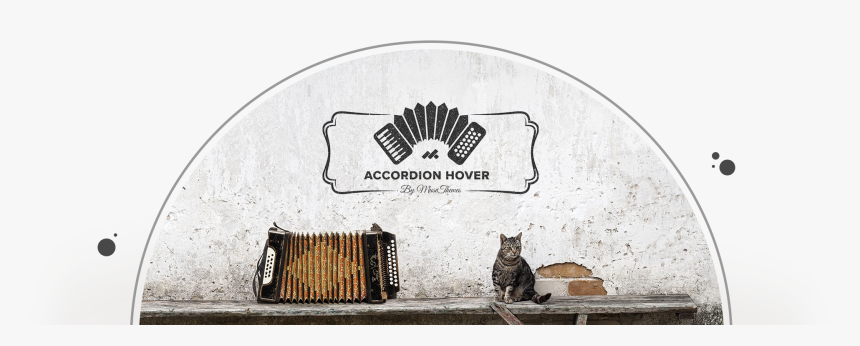 Accordion Hover - Domestic Short-haired Cat, HD Png Download, Free Download