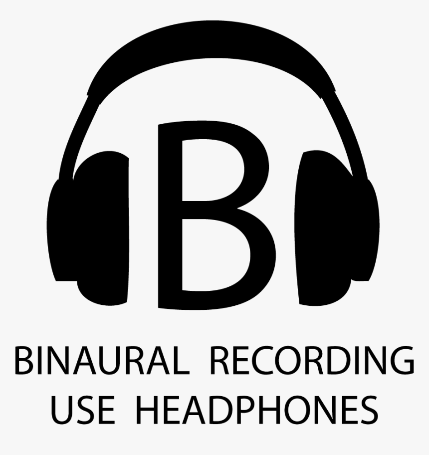 Логотип Audio. Иконка аудио. Лого звукорежиссера. Качественный звук иконка. Icon audio