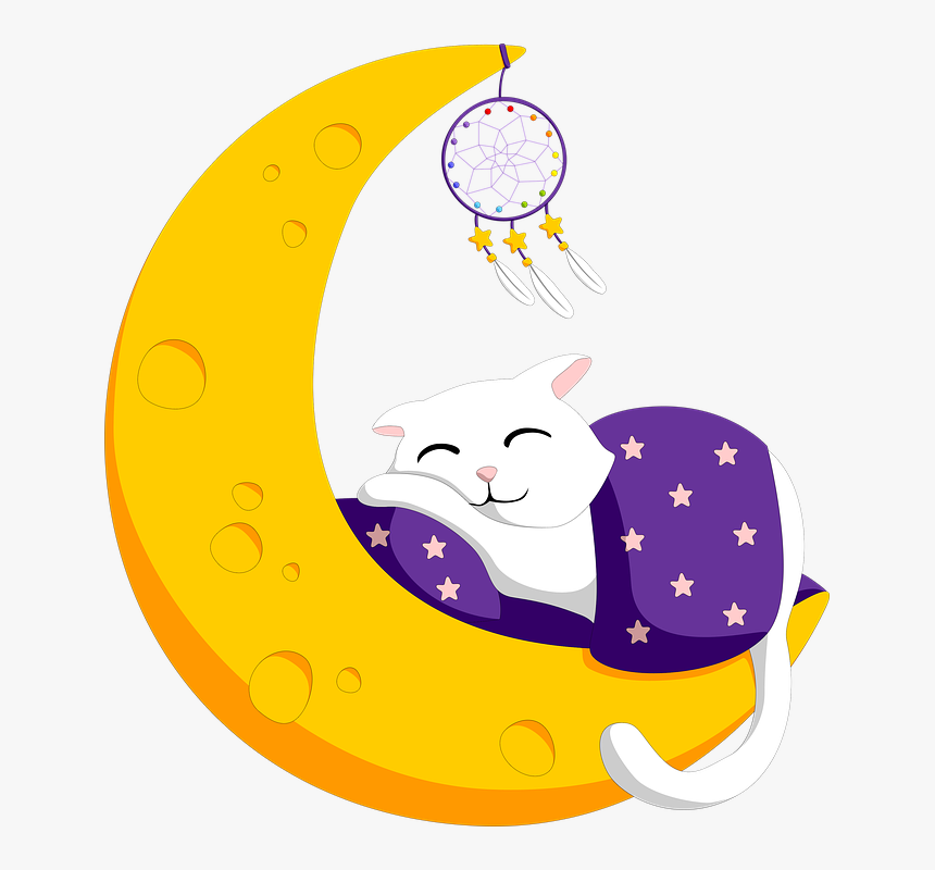 Crescent, Sleeping, Cat, Dreamcatcher, Dream, Sleep - Сон Пнг, HD Png Download, Free Download