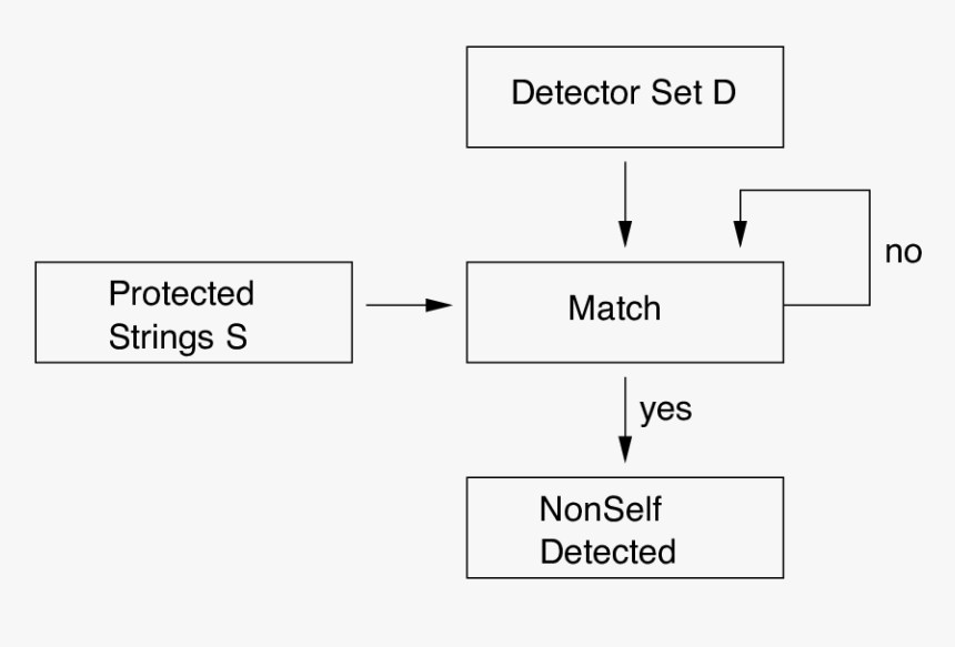 Diagram, HD Png Download, Free Download