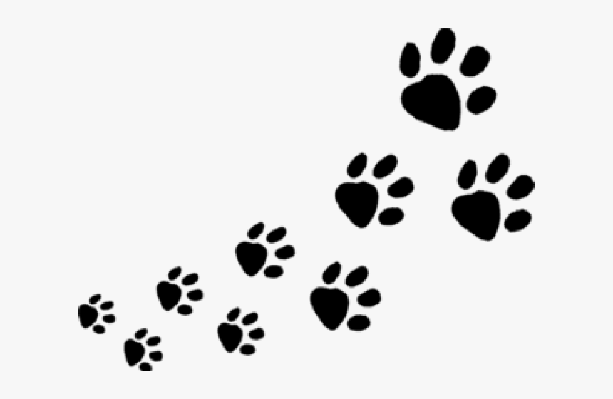 Transparent Dog Paws Clipart - Animal Footprints Clipart, HD Png Download, Free Download