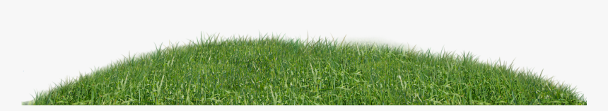 Sweet Grass, HD Png Download, Free Download