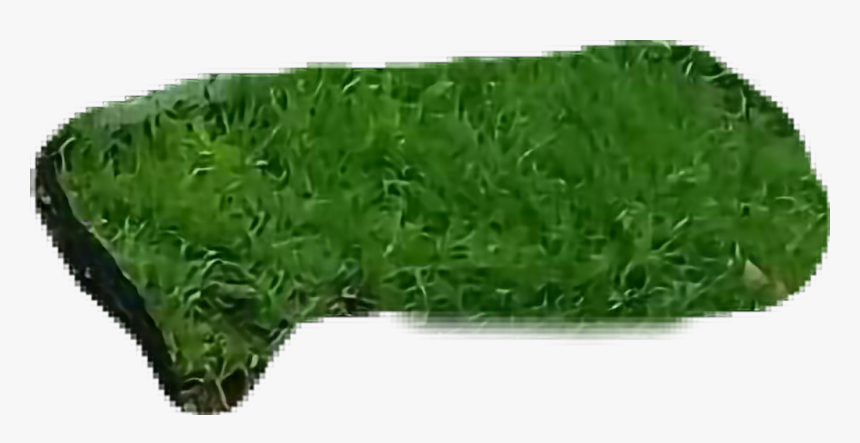 #pasto - Sweet Grass, HD Png Download, Free Download