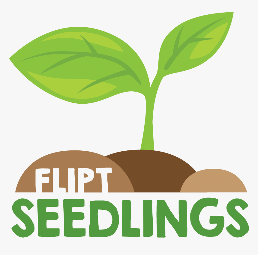 Null Seedlings Logo- - Seedlings Logo, HD Png Download, Free Download