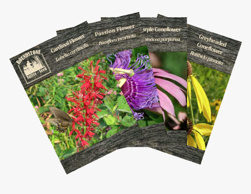 Seed Packets For Plants, HD Png Download, Free Download