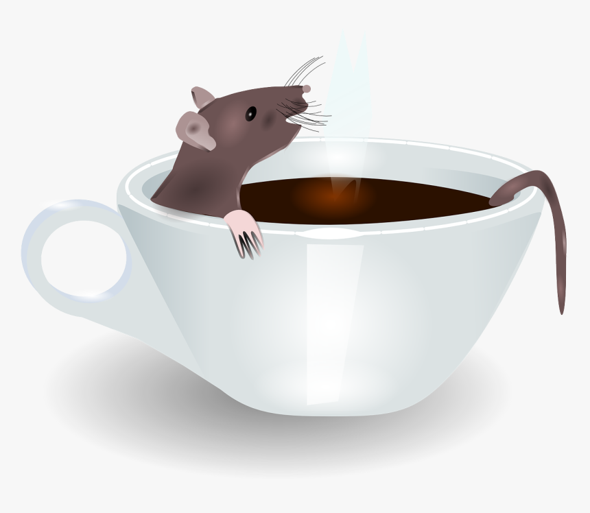 Rat In Coffee, HD Png Download, Free Download