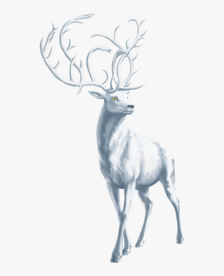 66238 - Transparent White Deer Png, Png Download, Free Download