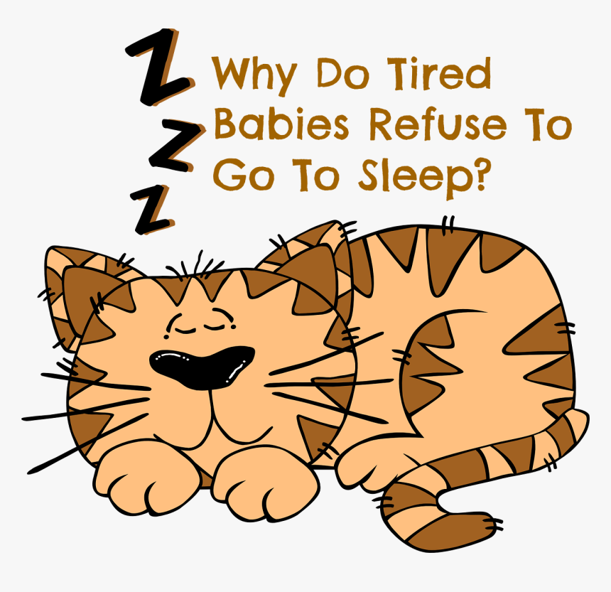 Tired Babies - Cat Sleeping Clipart, HD Png Download, Free Download