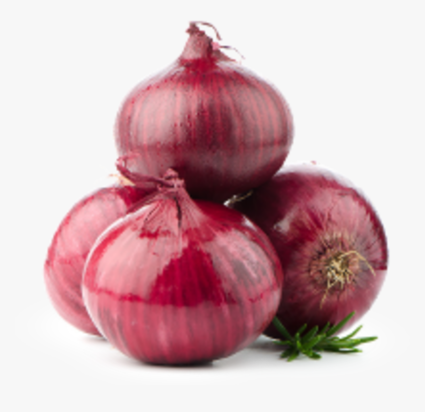 Rapid In-field Determination Of Nitrogen In Onions - Onion Png, Transparent Png, Free Download