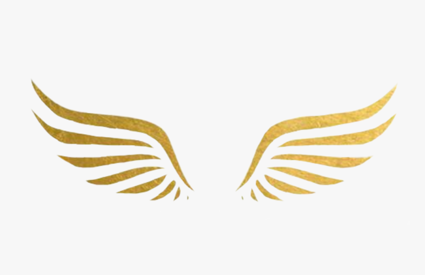 #wings #gold #tumblr #goldwings #cute #remixit #aesthetic, HD Png Download, Free Download