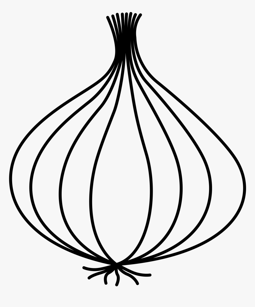 Collection Of Free Onion Drawing Download On Ui Ex - Onion Clipart Black And White, HD Png Download, Free Download