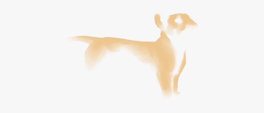 Cat Dog Desktop Wallpaper Paw Ear - Cat Jumps, HD Png Download, Free Download