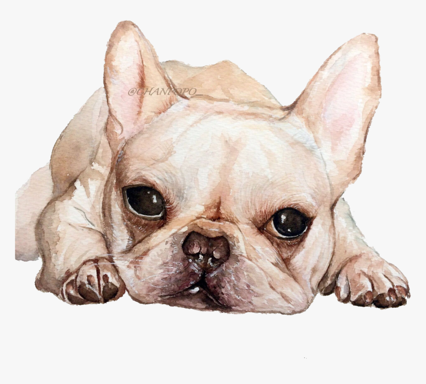 French Bulldog Toy Bulldog Puppy Dog Breed - French Bulldog Good Morning, HD Png Download, Free Download