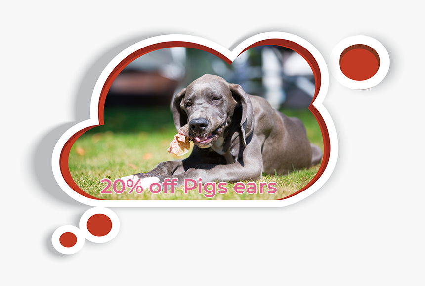 Pigs Ears Cloud - Pig Ears Dog Treats, HD Png Download, Free Download