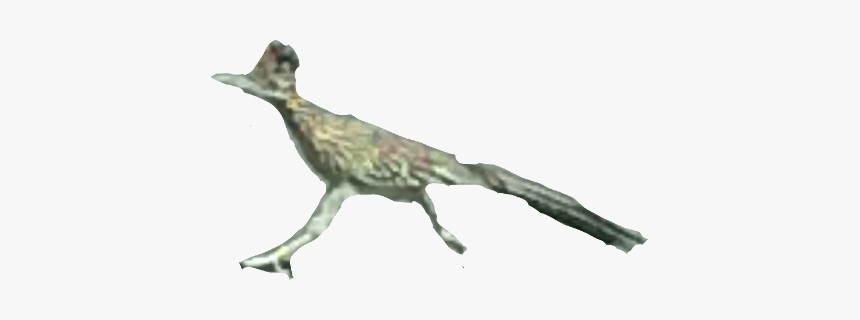 #roadrunner #freetoedit - Velociraptor, HD Png Download, Free Download