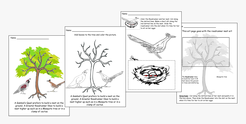 Black And White Drawings About The Greater Roadrunner - Cartoon, HD Png Download, Free Download