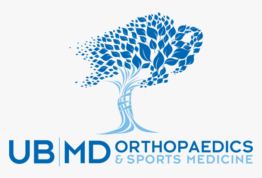 Ubmd Orthopaedics & Sports Medicine, HD Png Download, Free Download