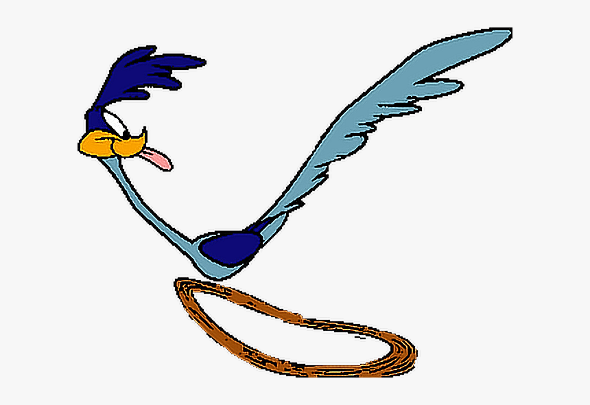 Roadrunner Bird Cartoon - 55 Road Runner Bird Illustrations Clip Art