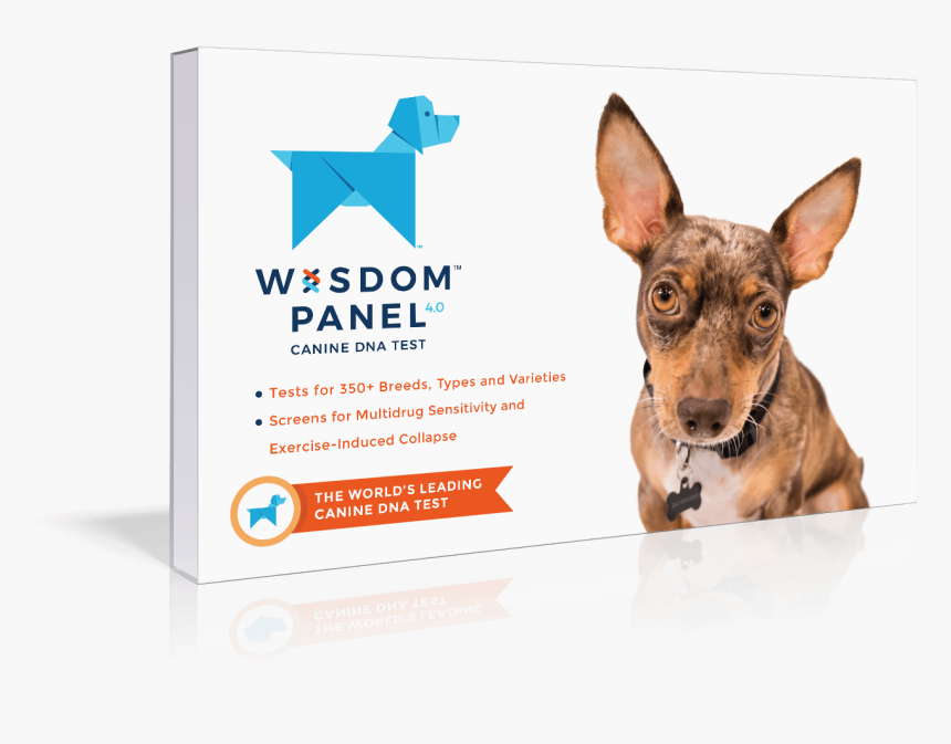 Callout-1 - Wisdom Panel Dog Dna, HD Png Download, Free Download