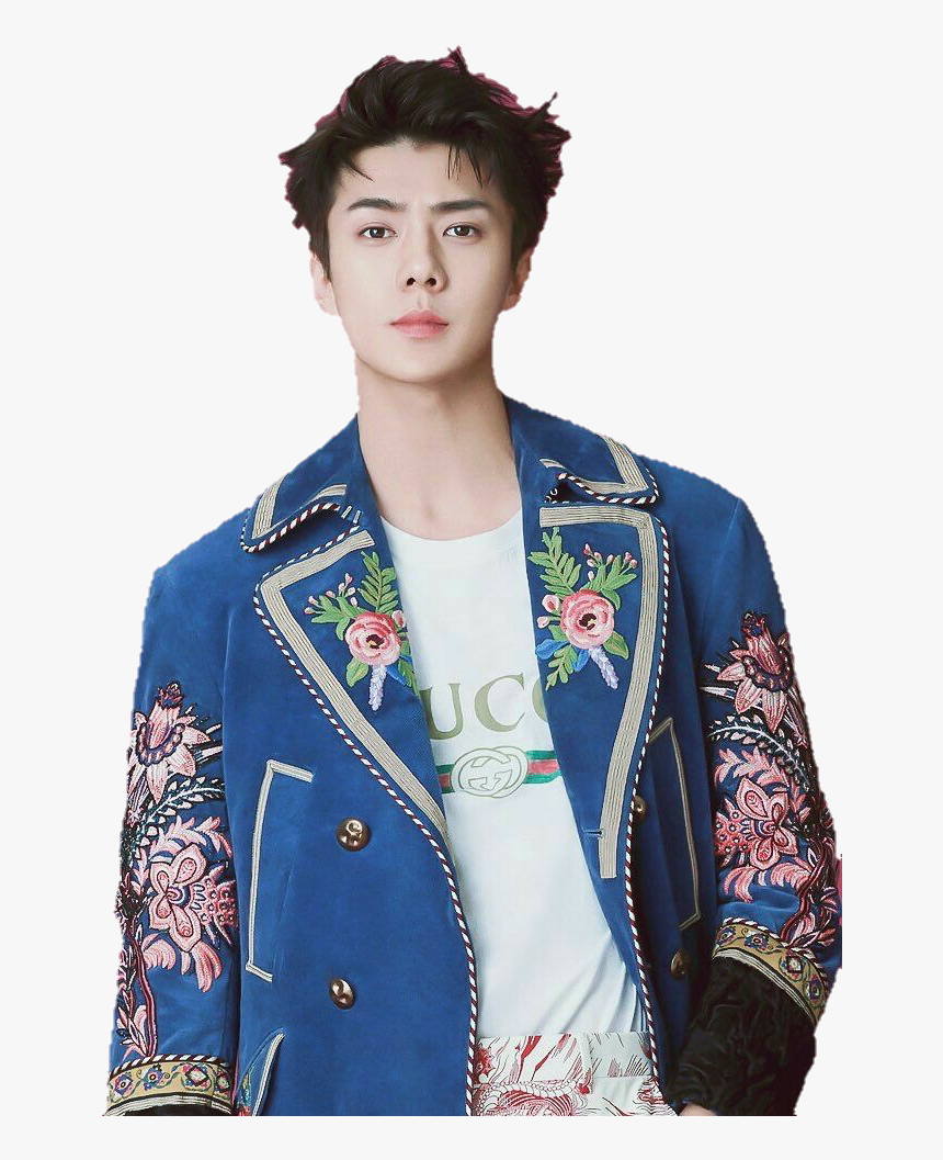 #ohsehun #exo #sehun - Sehun L Optimum Photoshoot, HD Png Download, Free Download