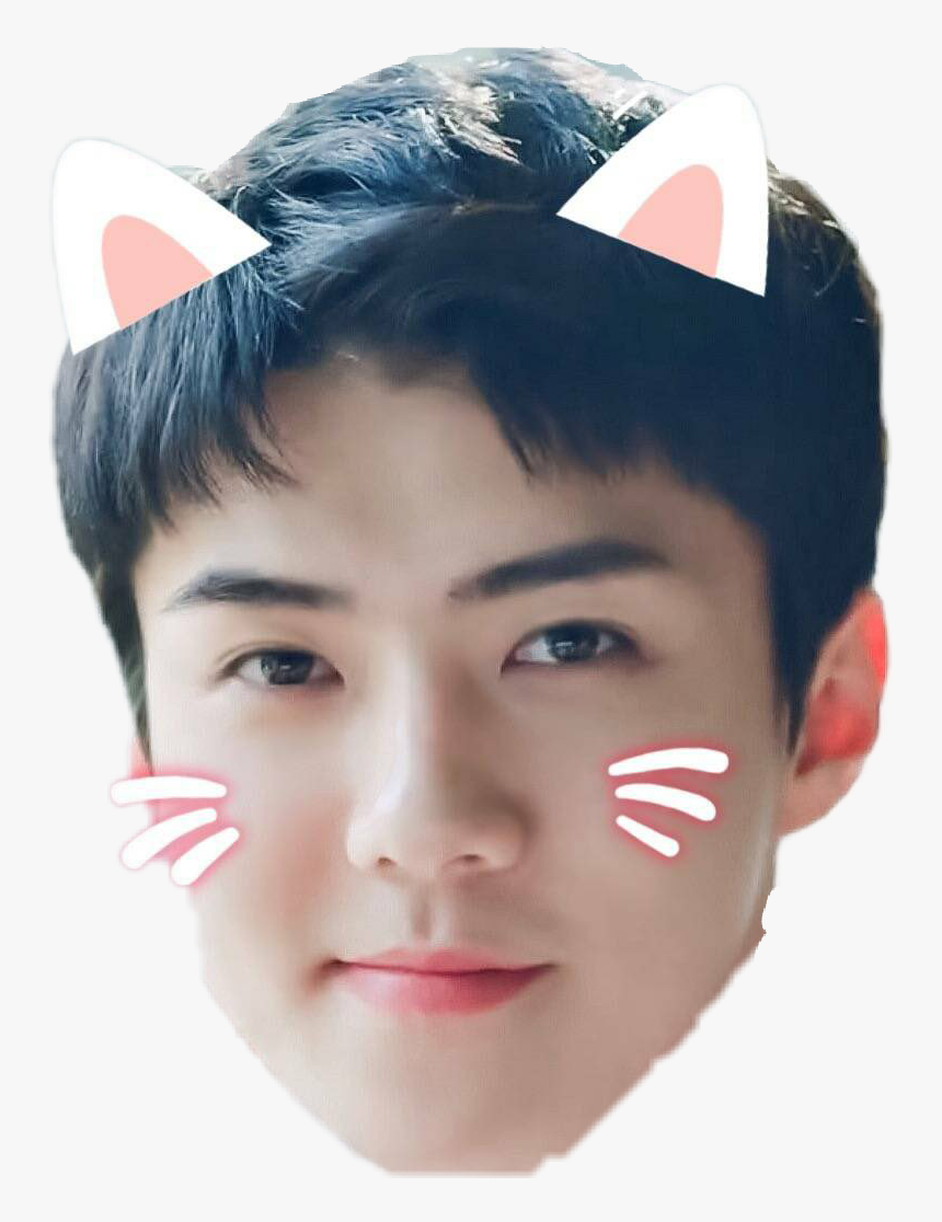 Sehun Exo Cute Oohsehun Sticker Linh Ling Png Exo Sehun - Sehun Cute Png, Transparent Png, Free Download