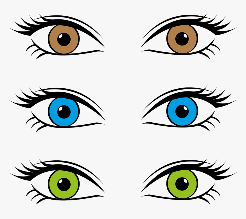 Collection Of Lizard Eyeballs Cliparts - Different Eye Colors Cartoon, HD Png Download, Free Download