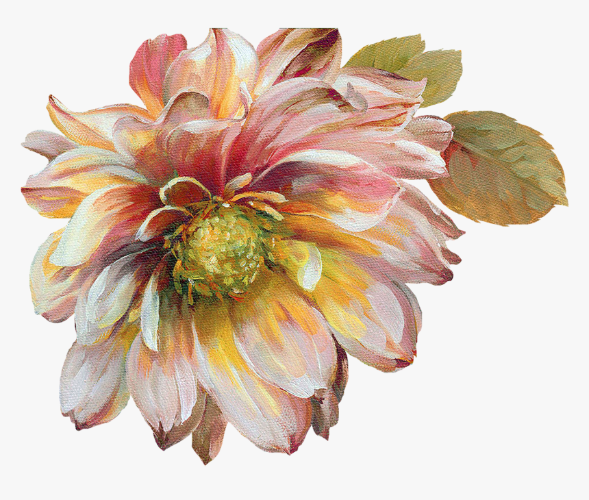 Dahlia Flowers Painted Png, Transparent Png, Free Download