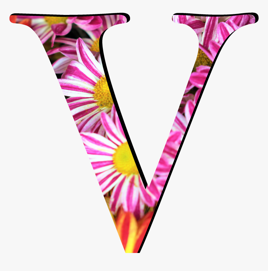 Flower Pattern Letters V, HD Png Download, Free Download