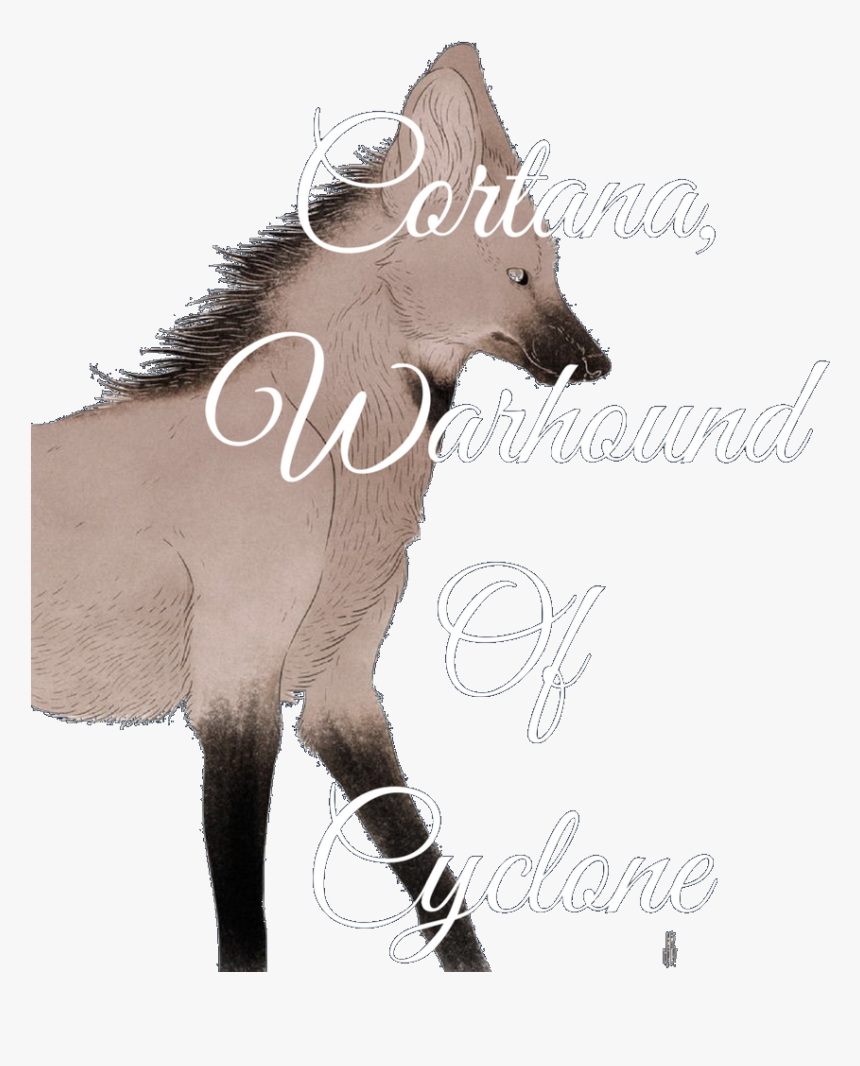 Transparent Cortana Png - Foal, Png Download, Free Download