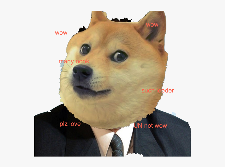 Kim Jong Doge - Doin Me A Fascinate, HD Png Download, Free Download